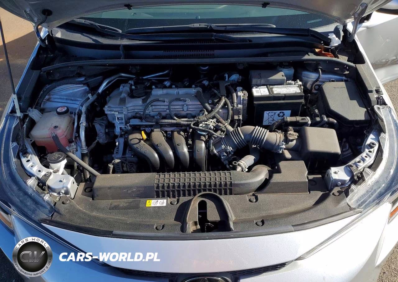 2021 Toyota Corolla Le VIN:JTDVPMAE3MJ169870 - 11