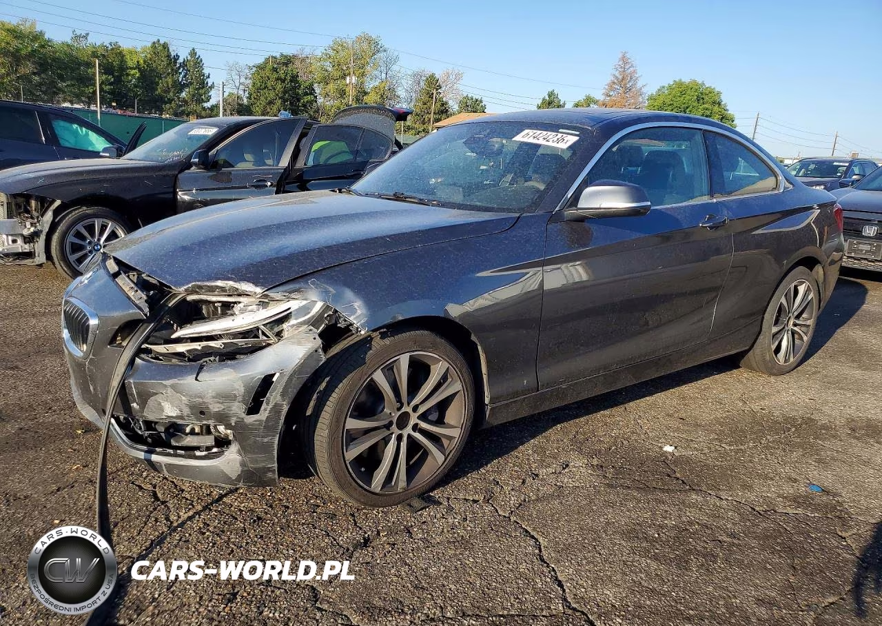 2016 BMW 228 I Sulev