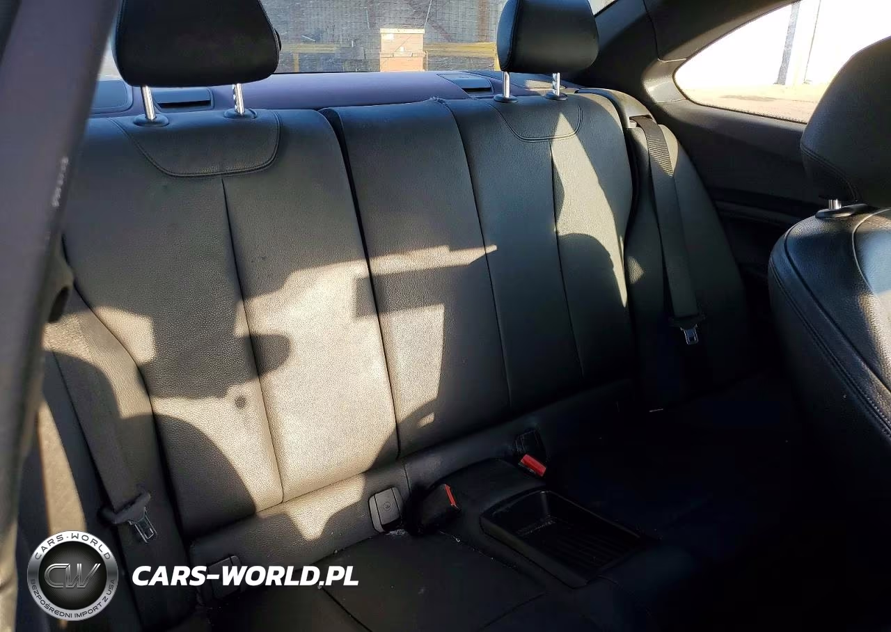 2016 BMW 228 I Sulev VIN:WBA1F9C59GV545154 - 10