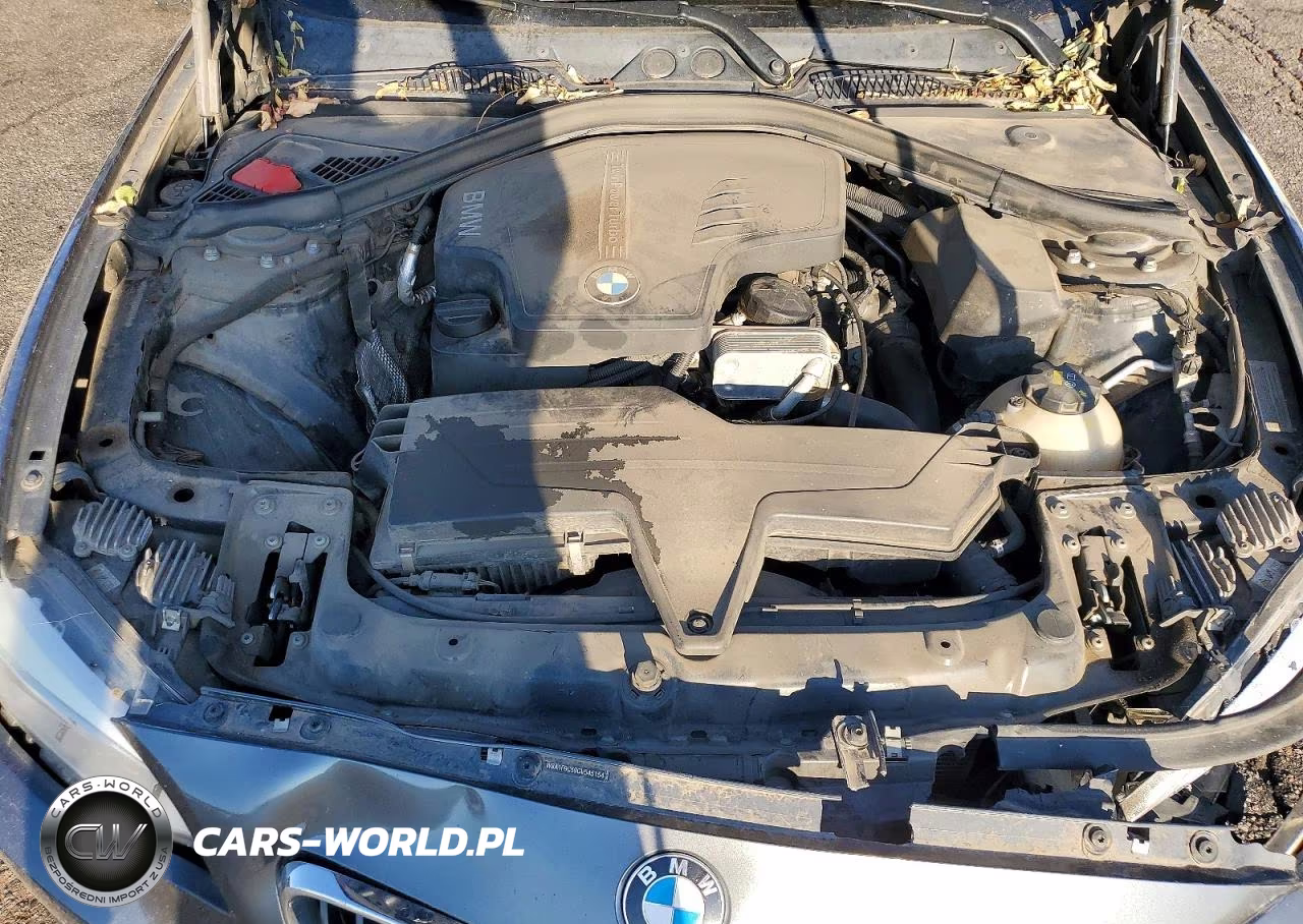 2016 BMW 228 I Sulev VIN:WBA1F9C59GV545154 - 11