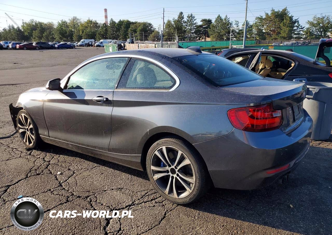 2016 BMW 228 I Sulev VIN:WBA1F9C59GV545154 - 2