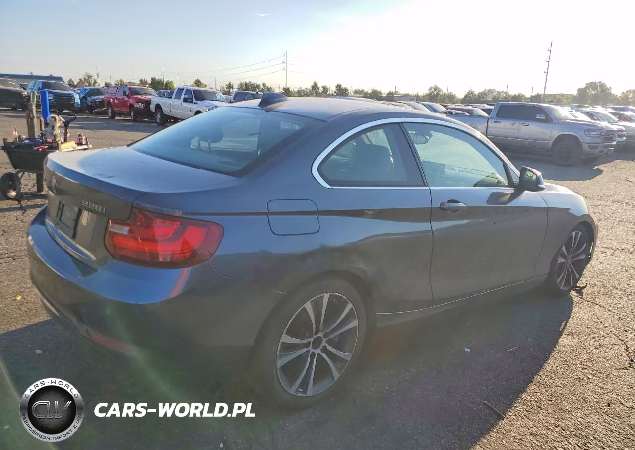 2016 BMW 228 I Sulev VIN:WBA1F9C59GV545154 - 3
