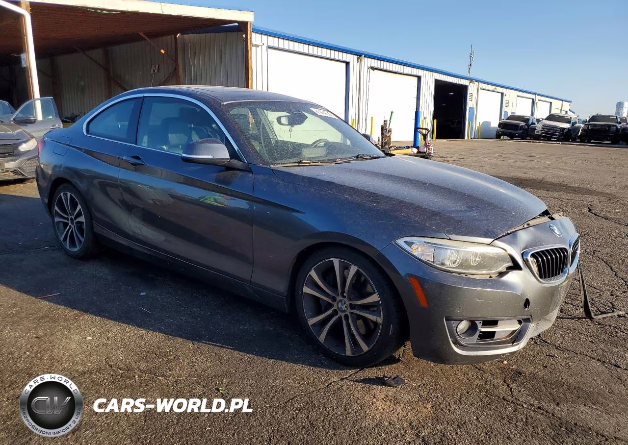 2016 BMW 228 I Sulev VIN:WBA1F9C59GV545154 - 4