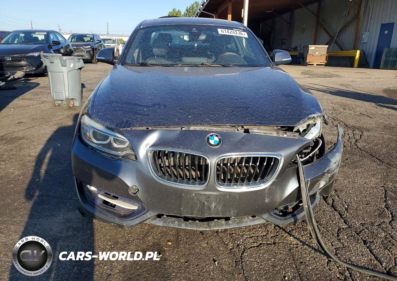 2016 BMW 228 I Sulev VIN:WBA1F9C59GV545154 - 5