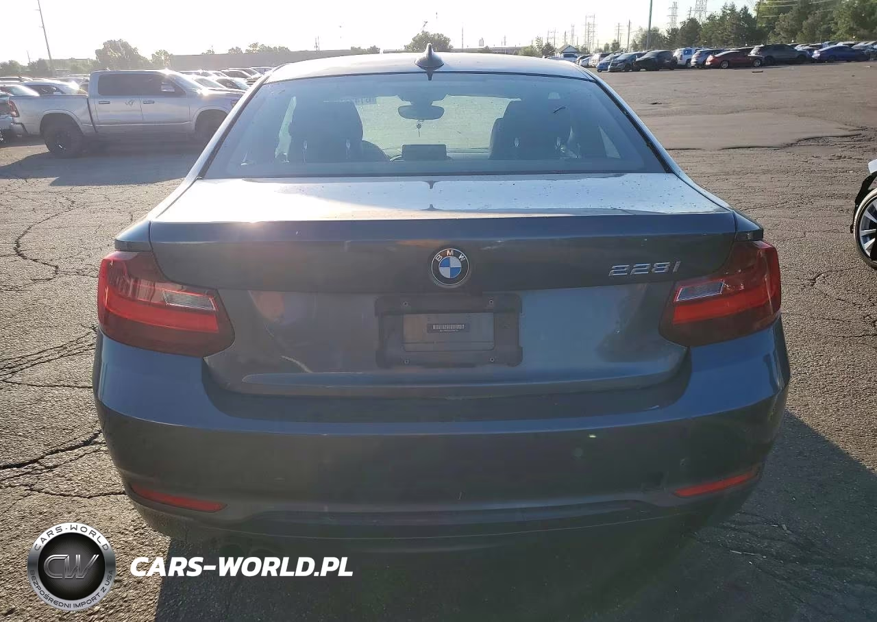 2016 BMW 228 I Sulev VIN:WBA1F9C59GV545154 - 6