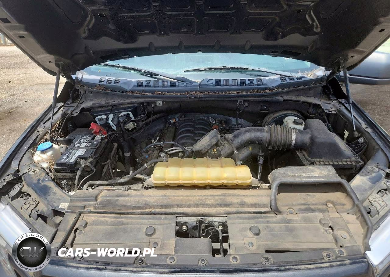 2019 Ford F150 Supercrew VIN:1FTEW1C52KKF10780 - 11