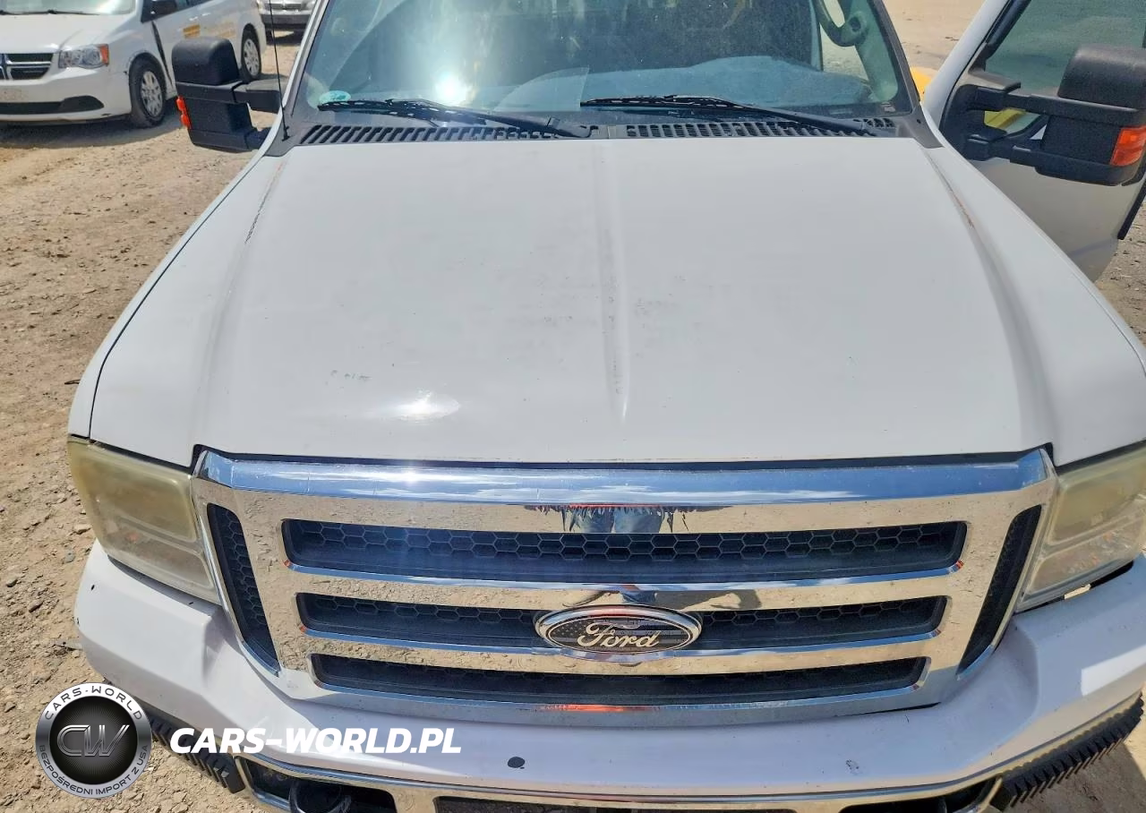 2006 Ford F250 Super Duty VIN:1FTSX21PX6ED11507 - 11