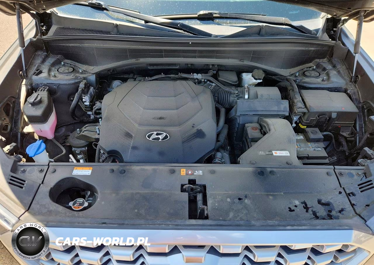 2021 Hyundai Palisade Sel VIN:KM8R4DHE0MU219568 - 12
