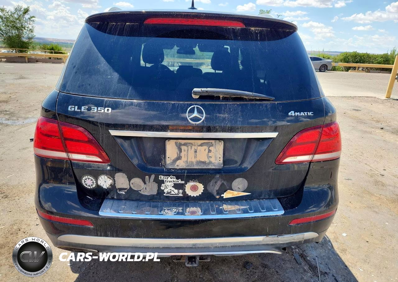 2017 Mercedes-Benz Gle 350 4Matic VIN:4JGDA5HB6HA850542 - 6