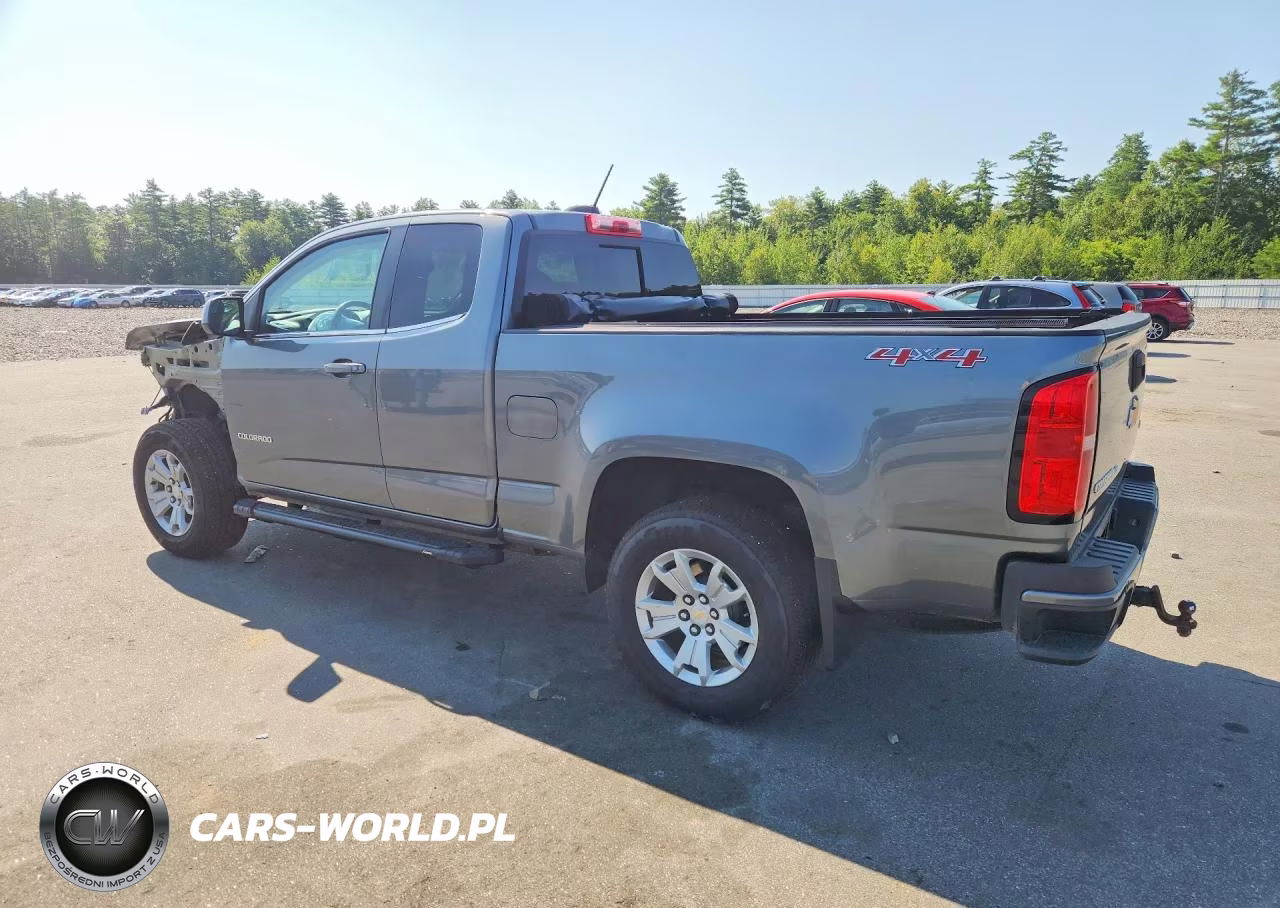 2019 Chevrolet Colorado Lt VIN:1GCHTCEN9K1176185 - 2