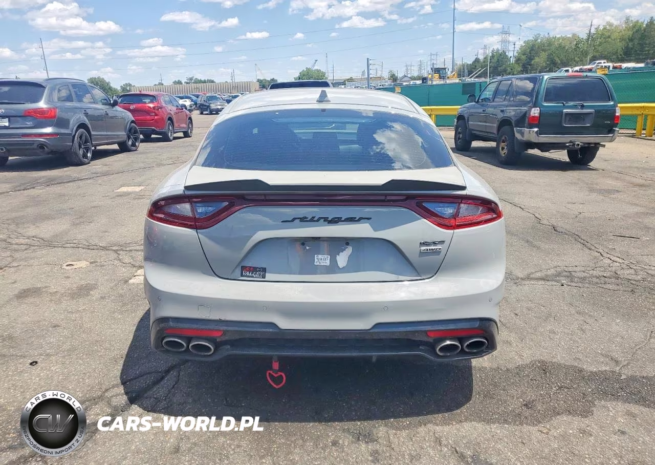 2019 Kia Stinger Gt1 VIN:KNAE45LC9K6045691 - 6