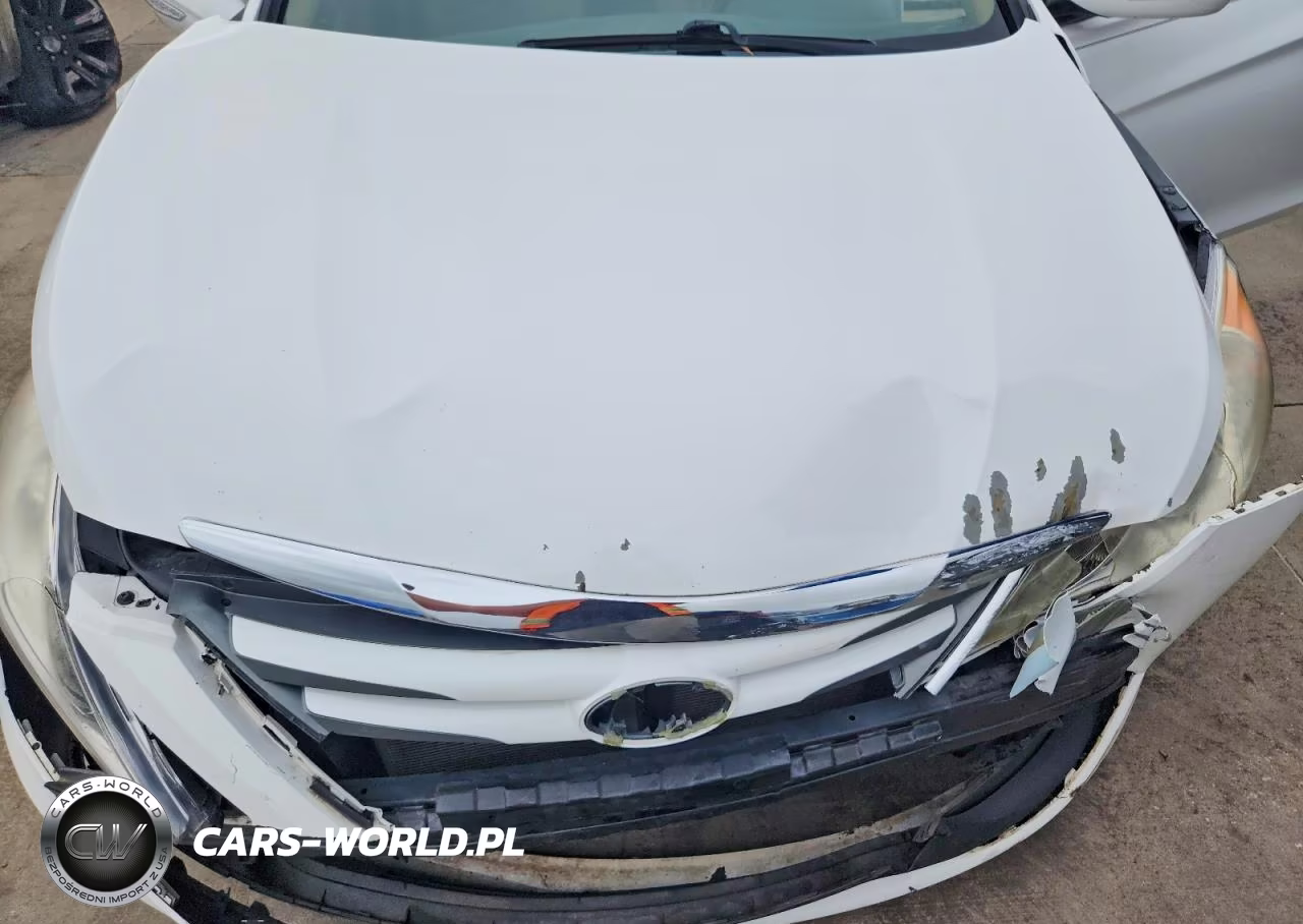 2014 Hyundai Sonata Gls VIN:5NPEB4AC5EH903643 - 11
