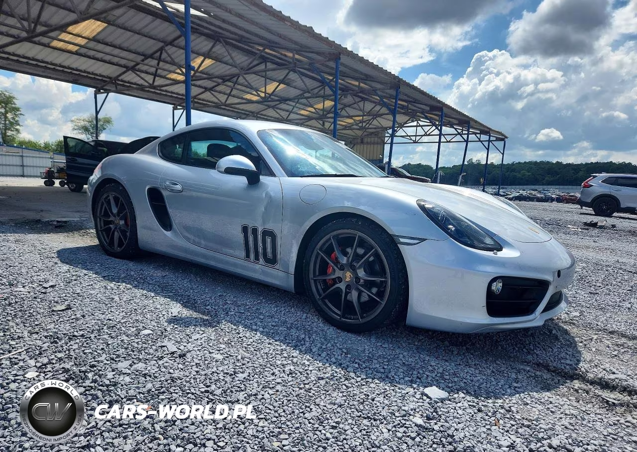2014 Porsche Cayman VIN:WP0AB2A89EK191721 - 4