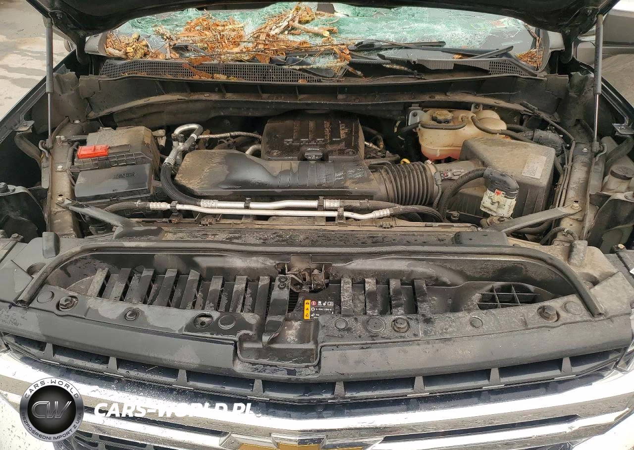 2019 Chevrolet Silverado K1500 Lt VIN:3GCPYDEK6KG112065 - 11