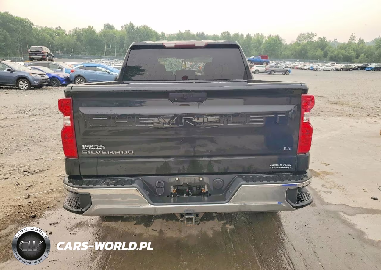 2019 Chevrolet Silverado K1500 Lt VIN:3GCPYDEK6KG112065 - 6