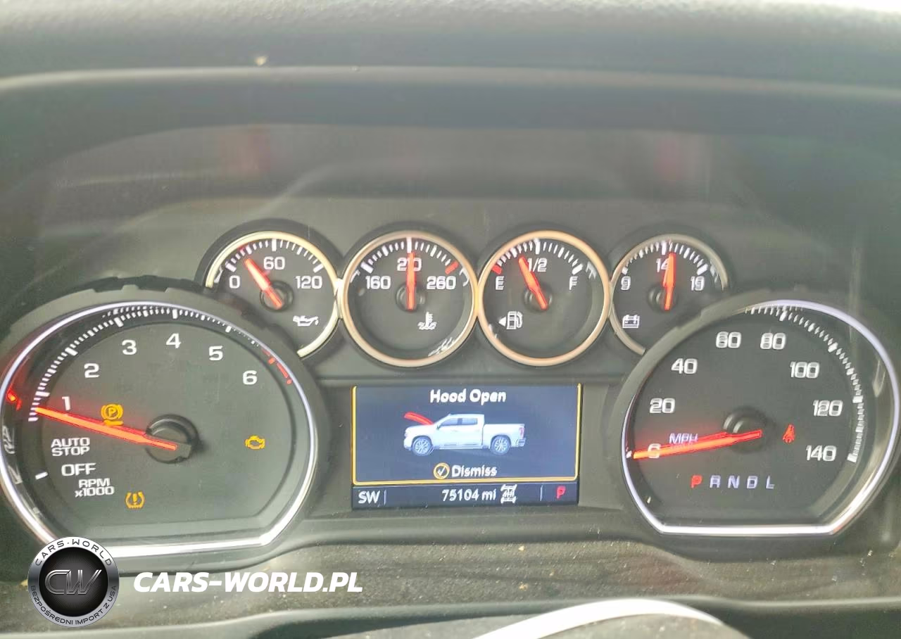 2019 Chevrolet Silverado K1500 Lt VIN:3GCPYDEK6KG112065 - 9