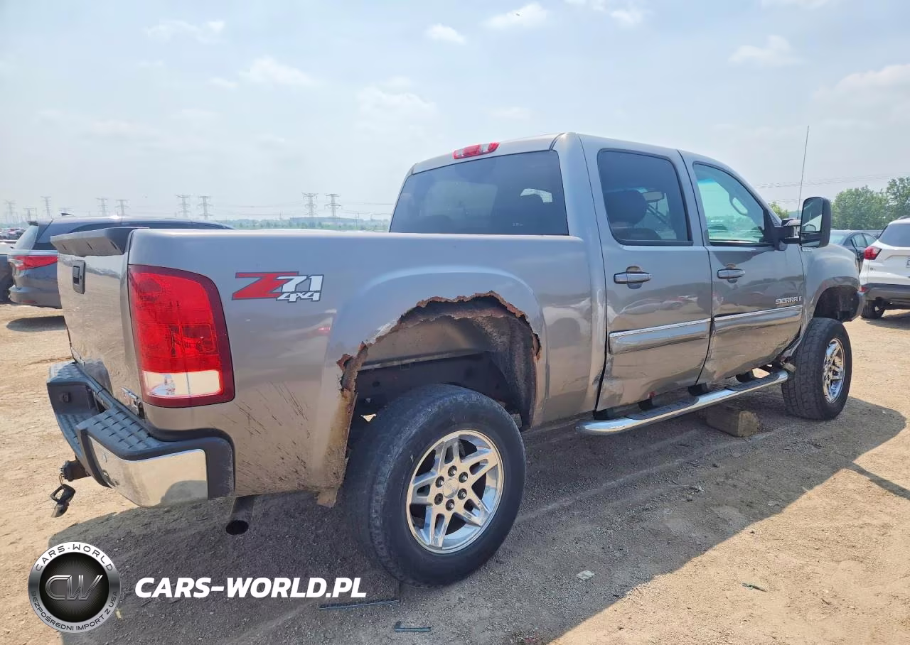 2009 GMC Sierra K1500 Slt VIN:3GTEK33M09G206427 - 3