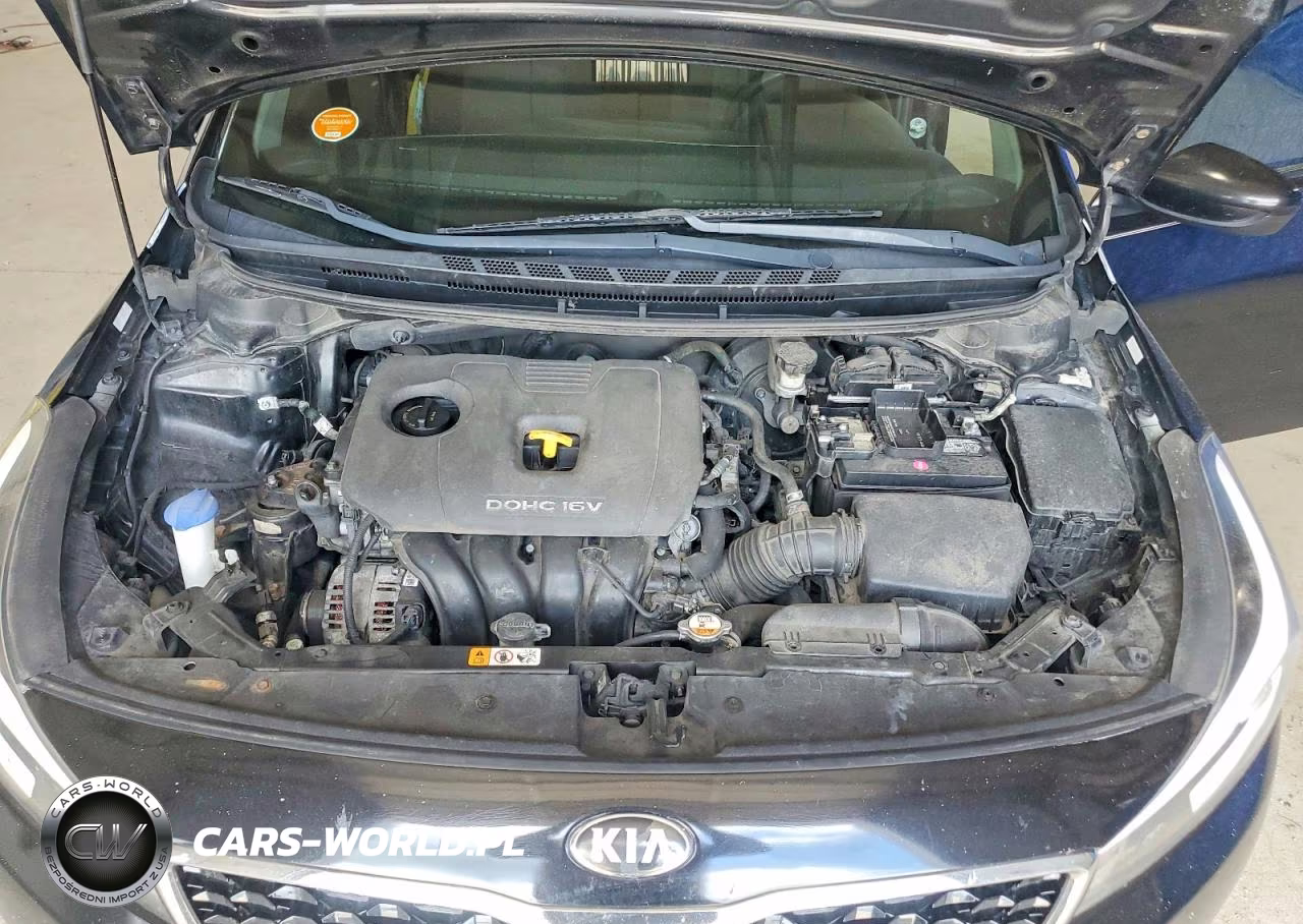 2017 Kia Forte Lx VIN:3KPFK4A77HE136748 - 11