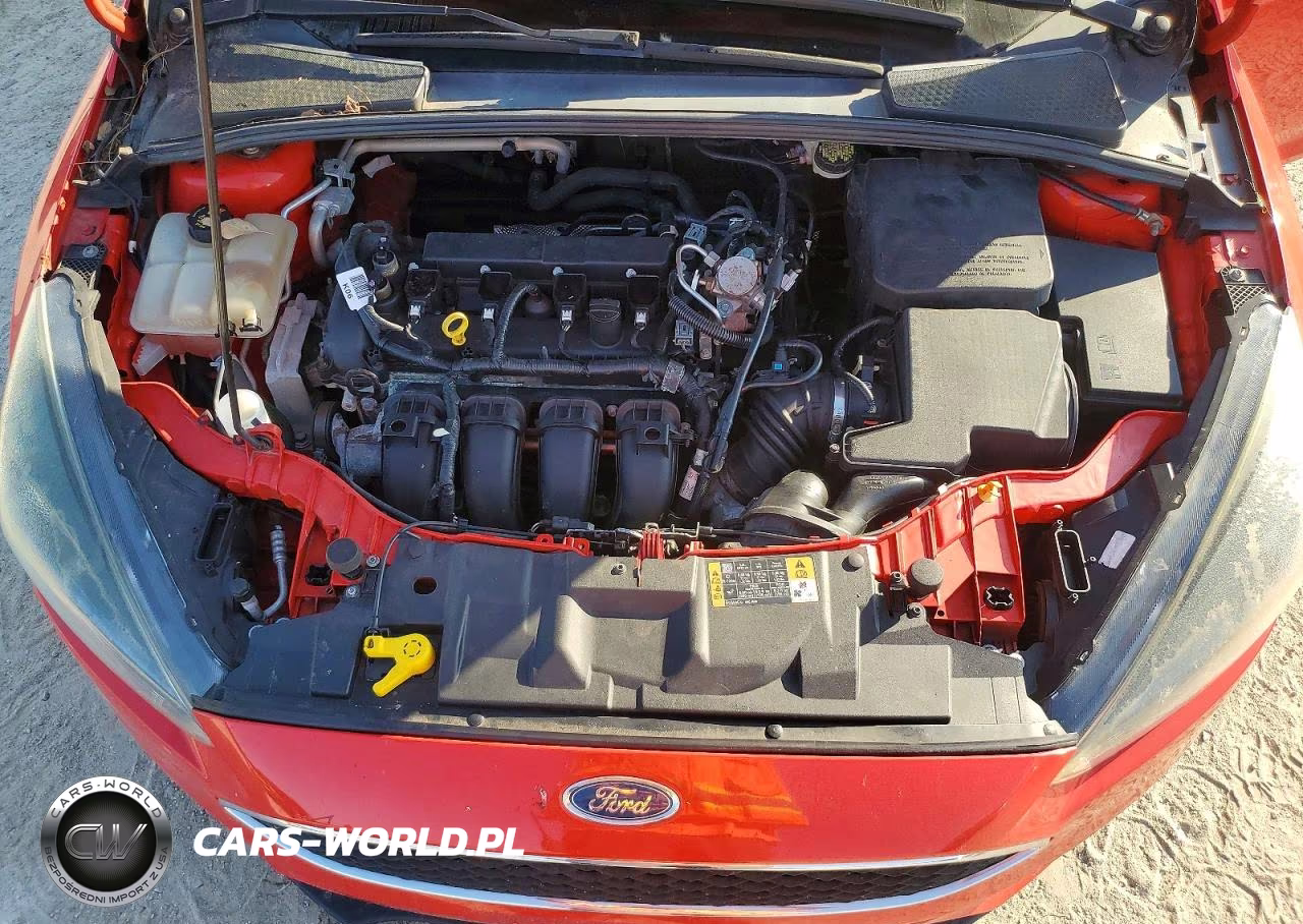 2016 Ford Focus Se VIN:1FADP3K2XGL367662 - 11