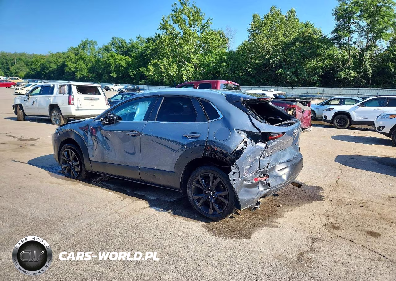 2021 Mazda Cx-30 VIN:3MVDMBAY1MM300699 - 2