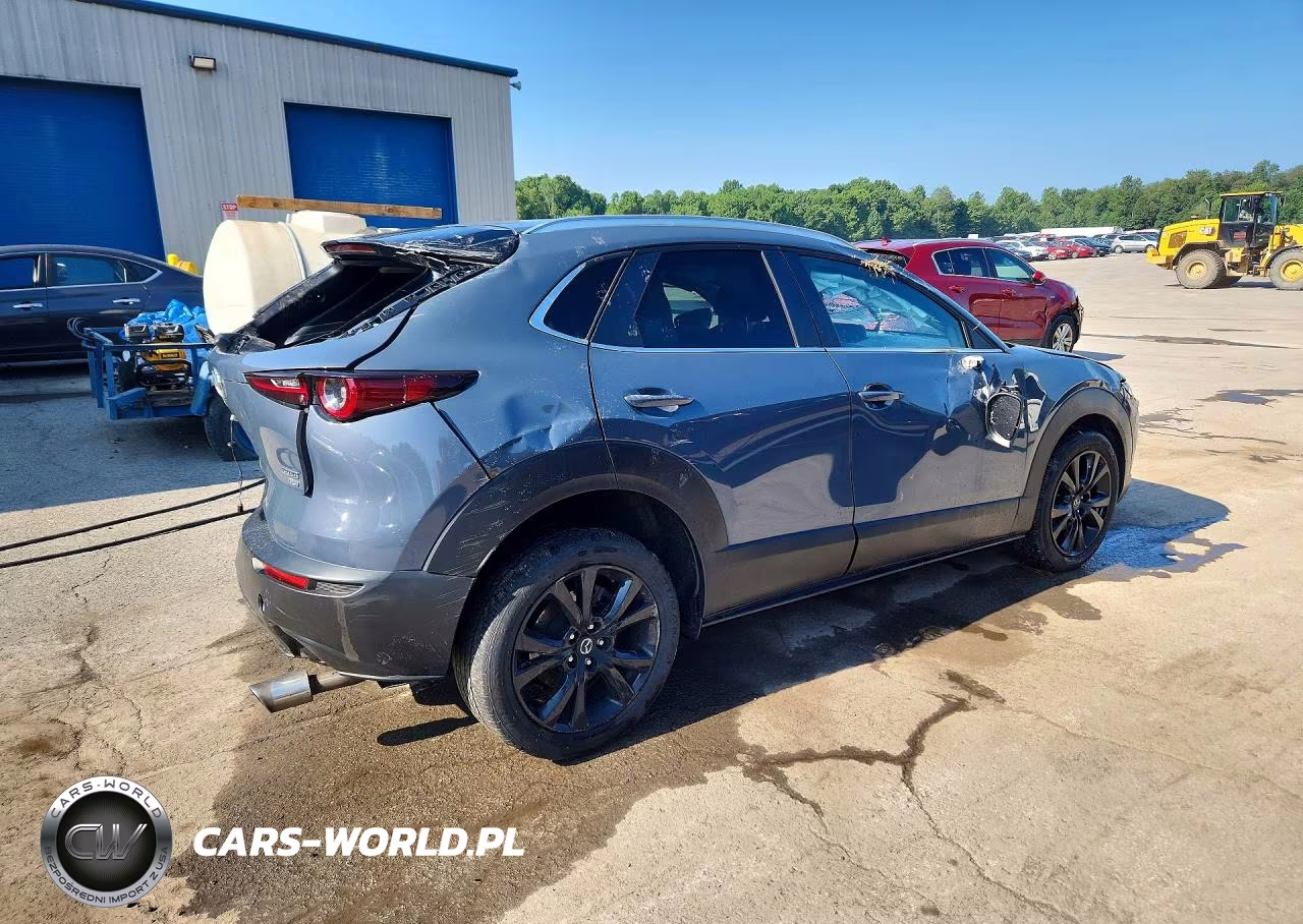 2021 Mazda Cx-30 VIN:3MVDMBAY1MM300699 - 3