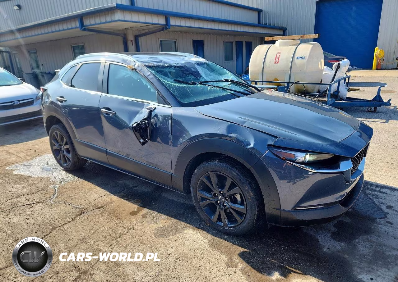 2021 Mazda Cx-30 VIN:3MVDMBAY1MM300699 - 4