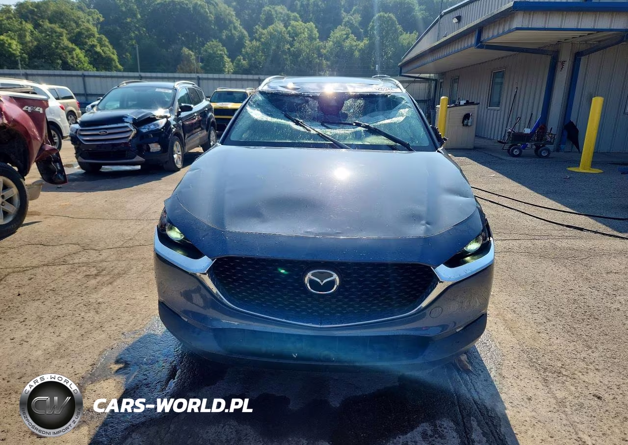 2021 Mazda Cx-30 VIN:3MVDMBAY1MM300699 - 5