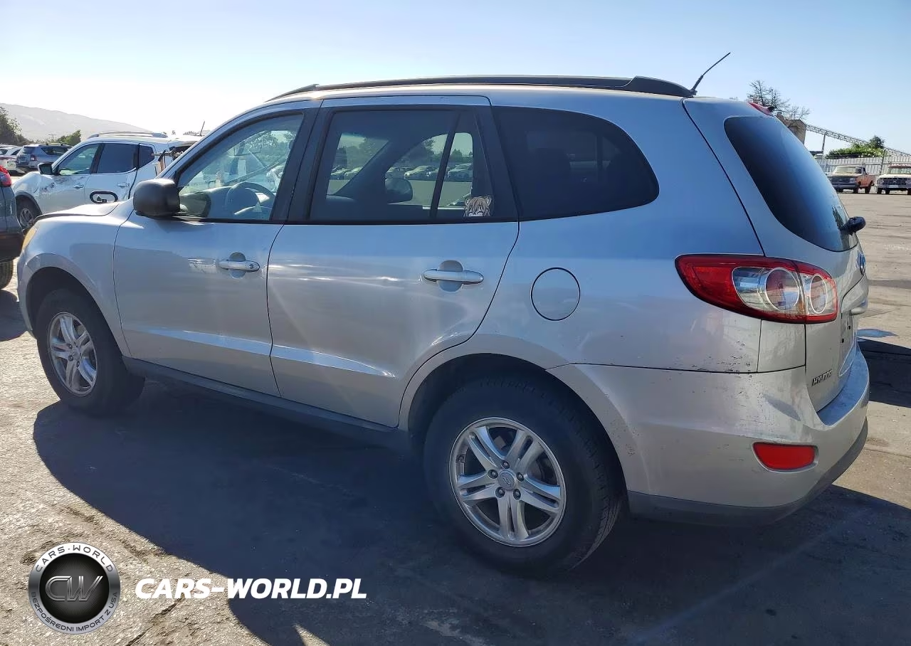 2010 Hyundai Santa Fe Gls VIN:5NMSG3AB3AH343909 - 2