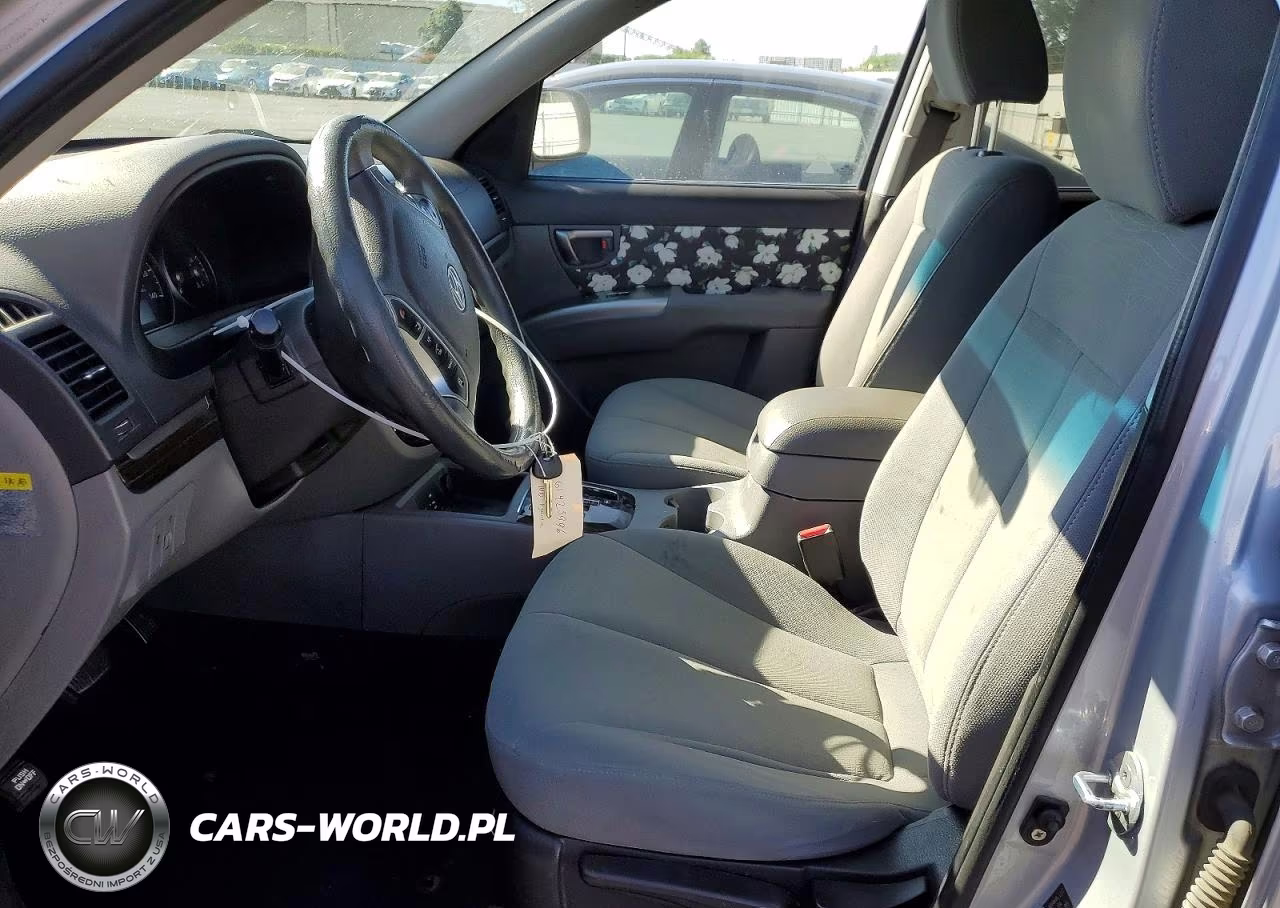 2010 Hyundai Santa Fe Gls VIN:5NMSG3AB3AH343909 - 7