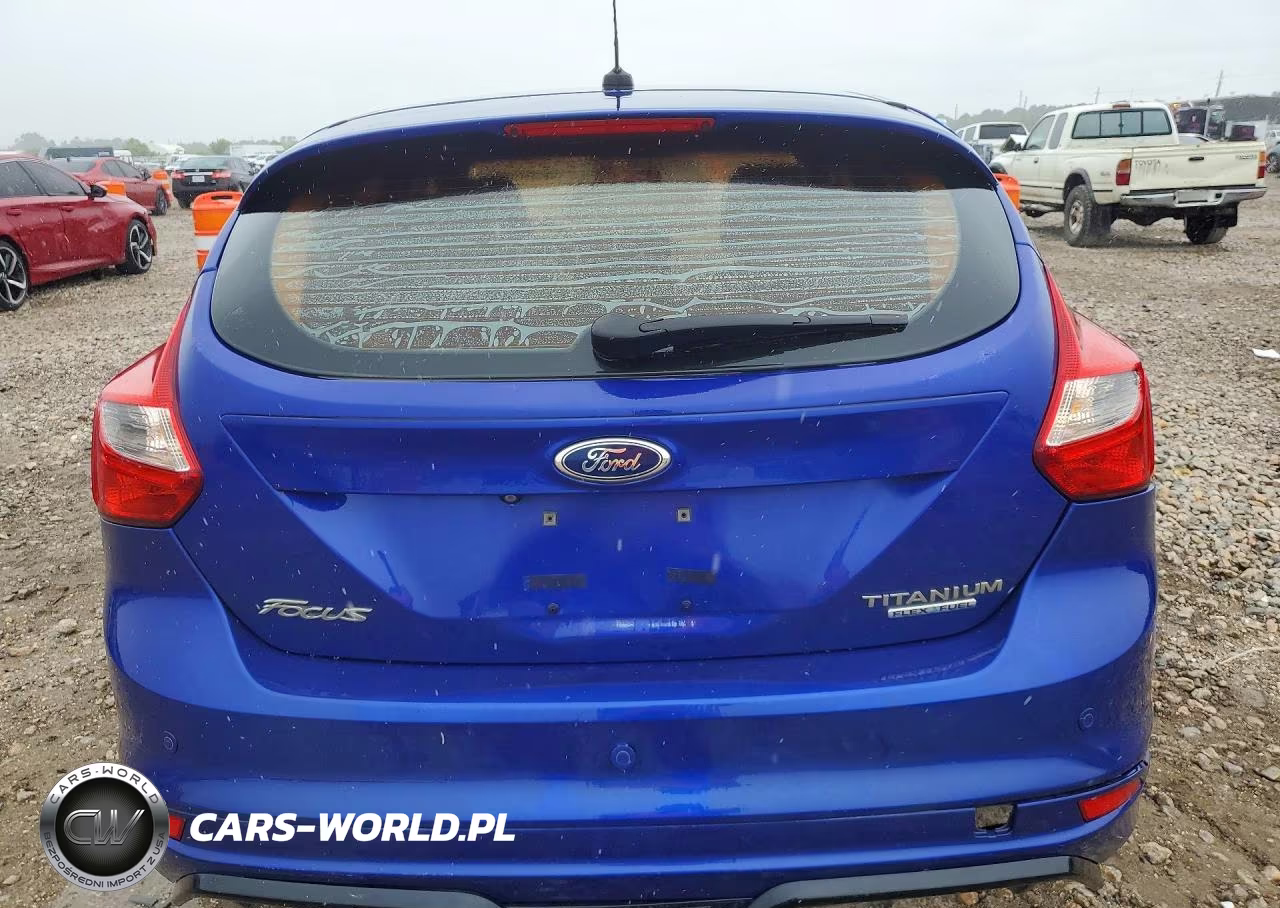 2014 Ford Focus Titanium VIN:1FADP3N21EL398419 - 6