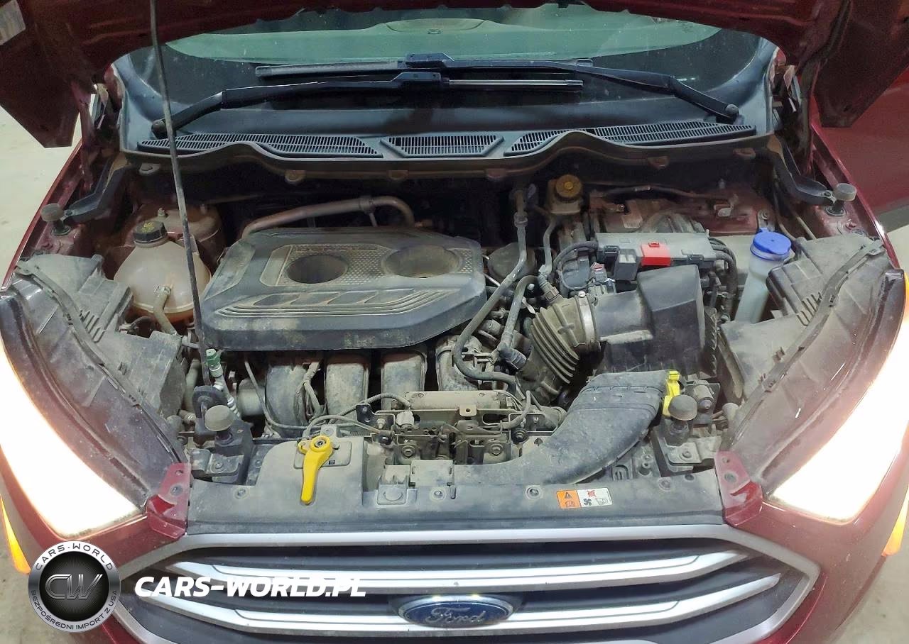 2020 Ford Ecosport Se VIN:MAJ6S3GL4LC316189 - 12