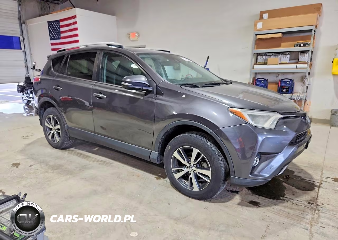 2016 Toyota Rav4 Xle VIN:2T3RFREV1GW507400 - 4