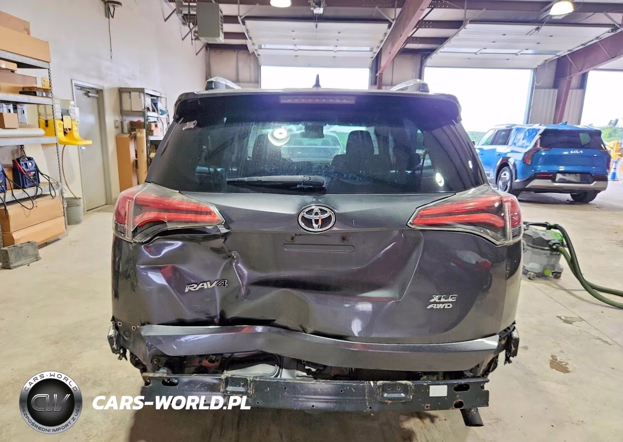 2016 Toyota Rav4 Xle VIN:2T3RFREV1GW507400 - 6