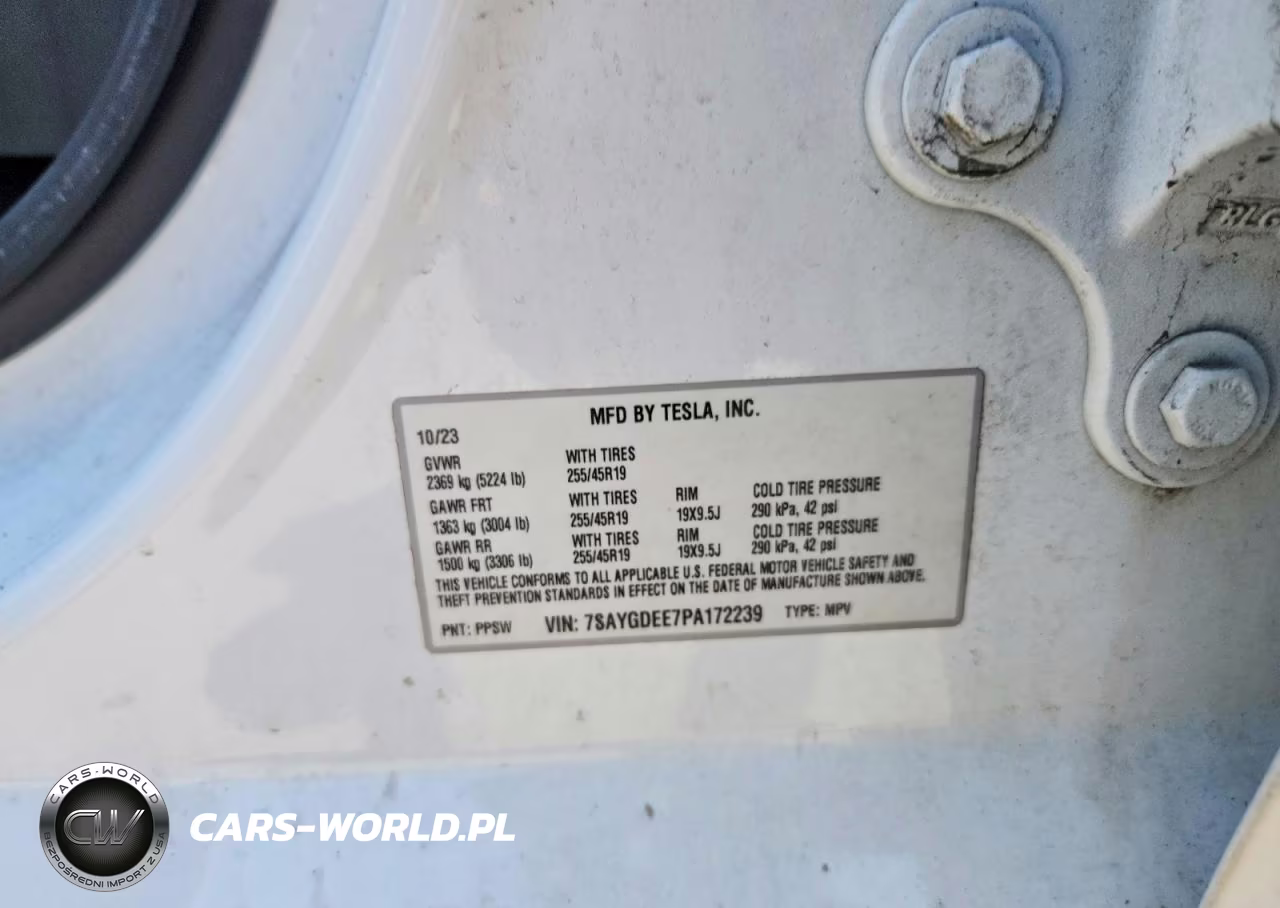 2023 Tesla Model Y VIN:7SAYGDEE7PA172239 - 12
