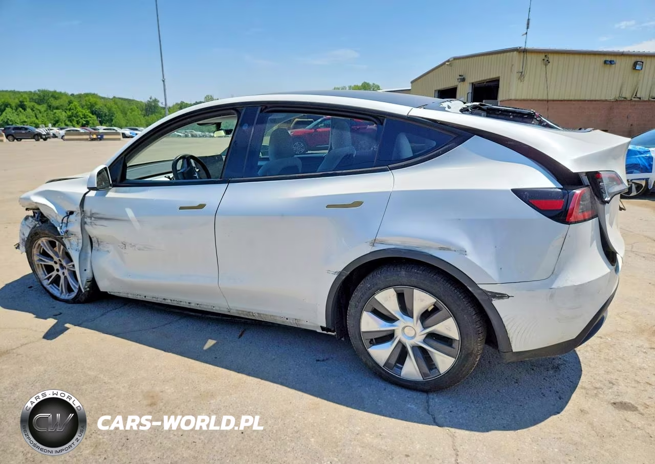 2023 Tesla Model Y VIN:7SAYGDEE7PA172239 - 2