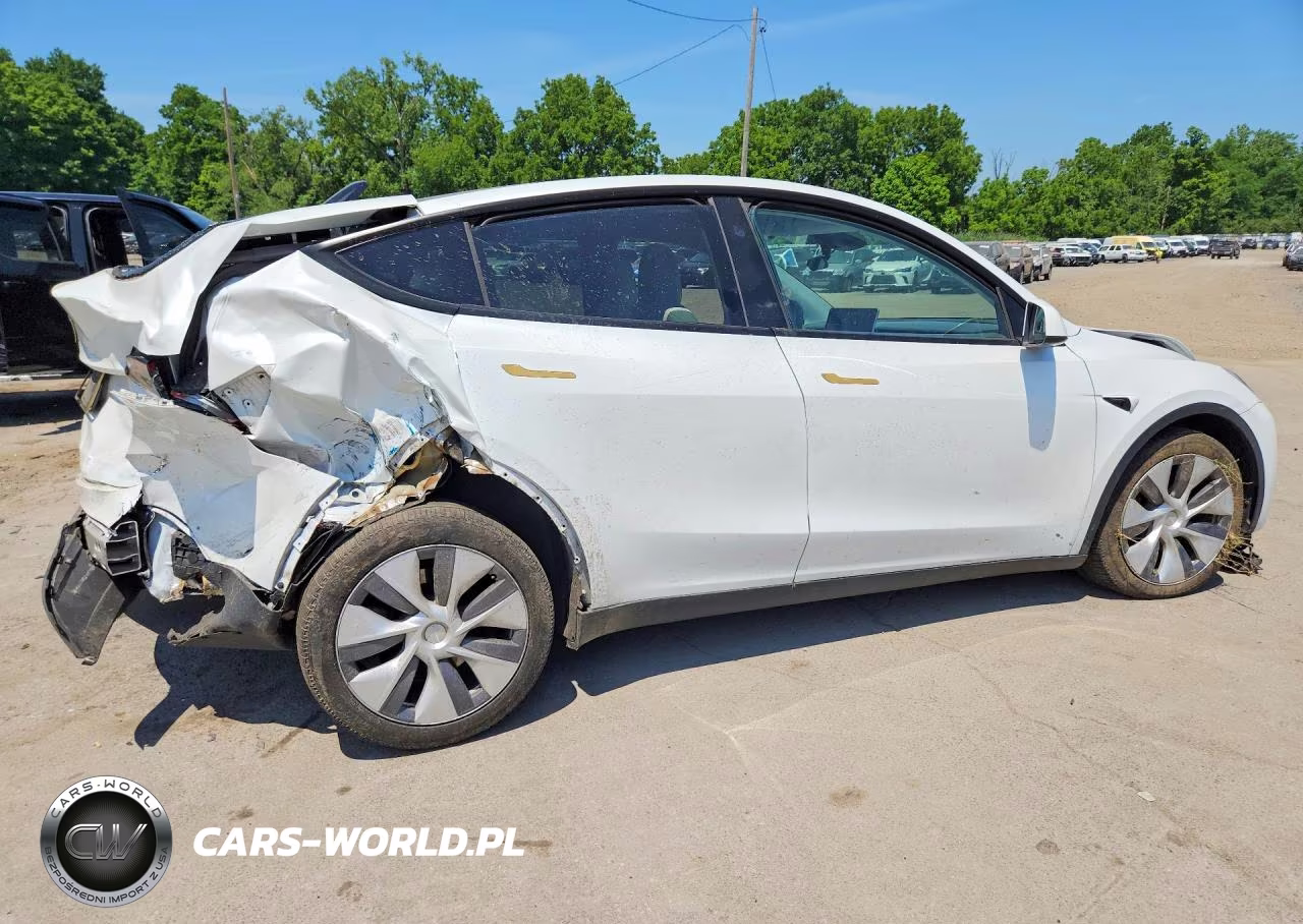 2023 Tesla Model Y VIN:7SAYGDEE7PA172239 - 3