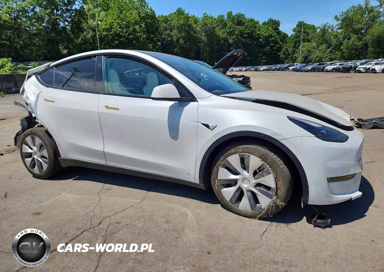 2023 Tesla Model Y VIN:7SAYGDEE7PA172239 - 4