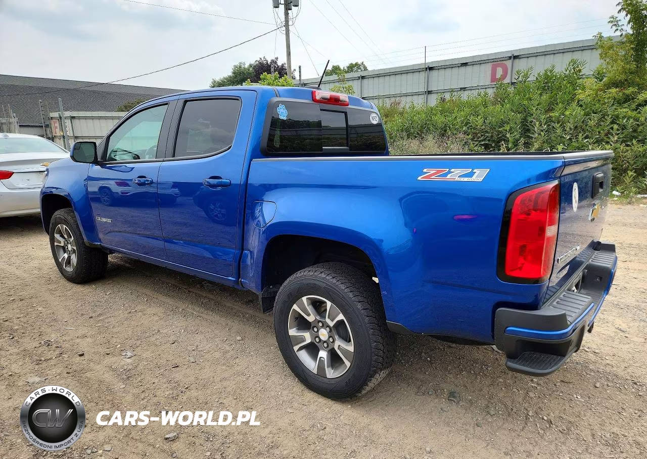 2019 Chevrolet Colorado Z71 VIN:1GCGTDEN8K1155314 - 2