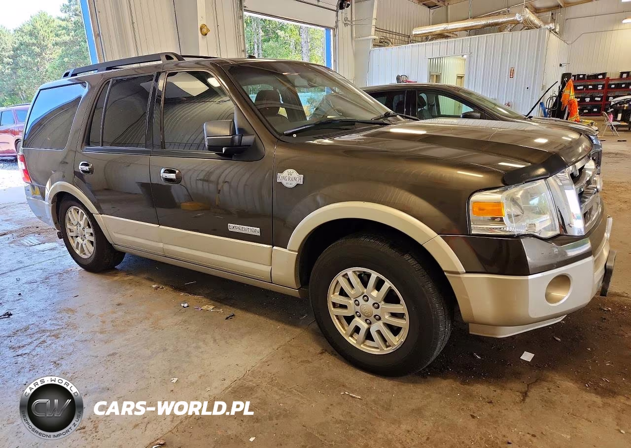 2008 Ford Expedition Eddie Bauer VIN:1FMFU17518LA31169 - 4