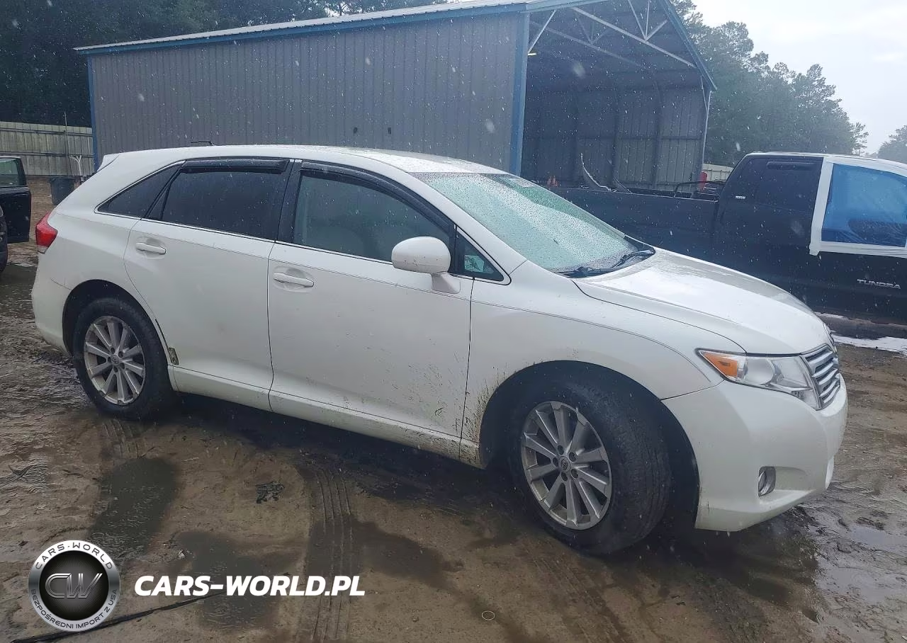 2009 Toyota Venza Fwd 4Cyl VIN:4T3ZE11A39U004087 - 4