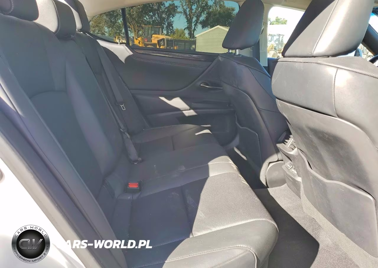 2021 Lexus Es 300H Base VIN:58ACA1C18MU009066 - 10
