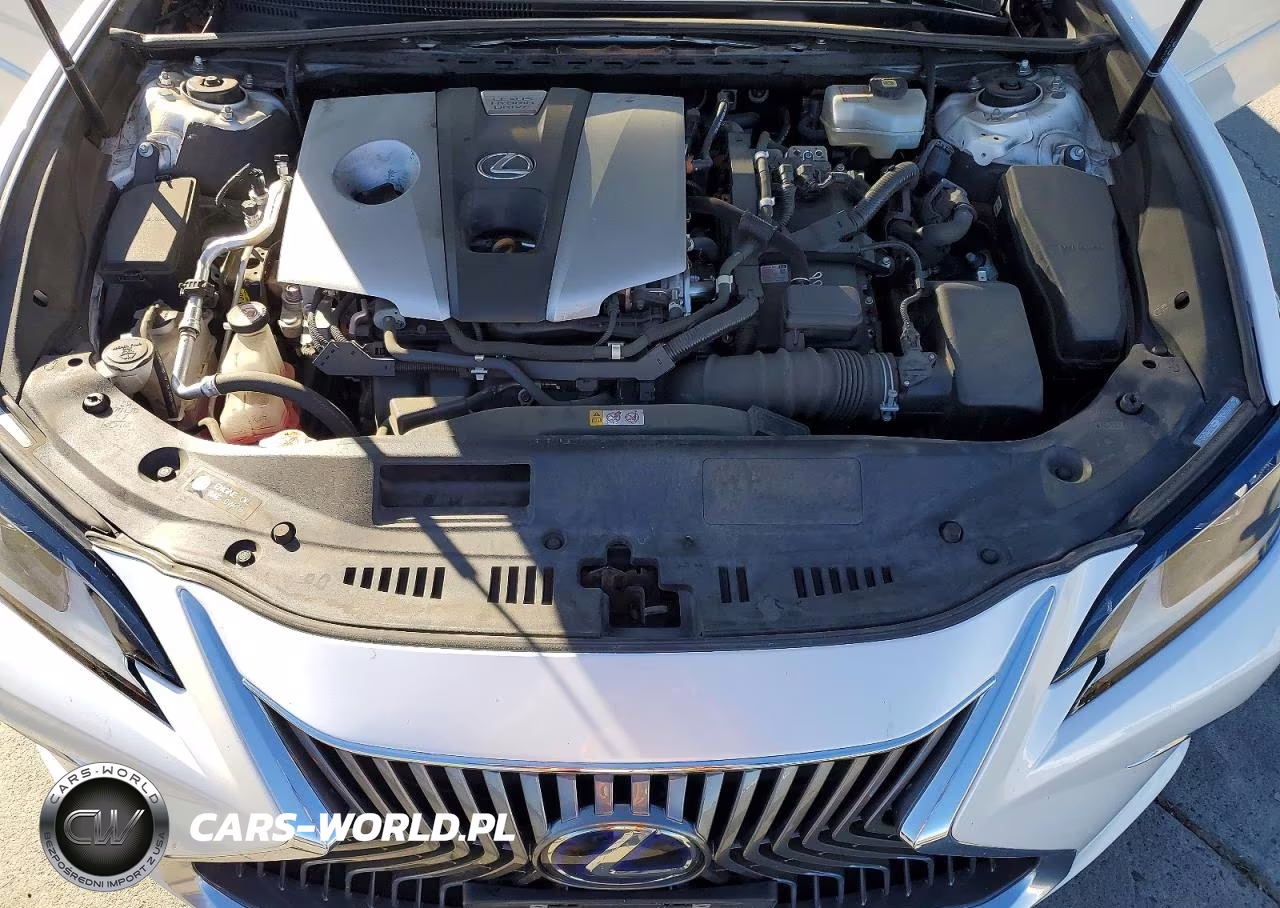 2021 Lexus Es 300H Base VIN:58ACA1C18MU009066 - 11