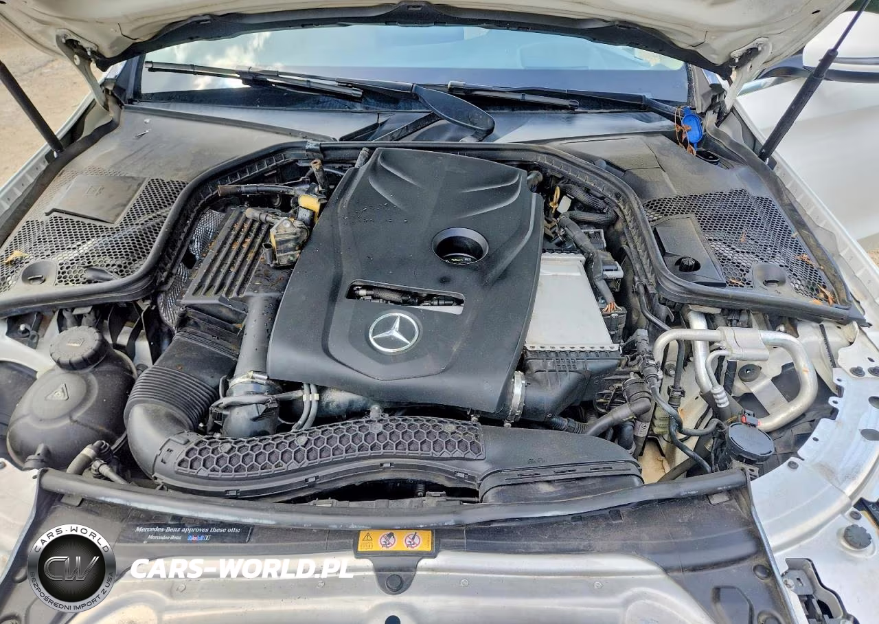 2018 Mercedes-Benz C 300 VIN:55SWF4JBXJU260794 - 11