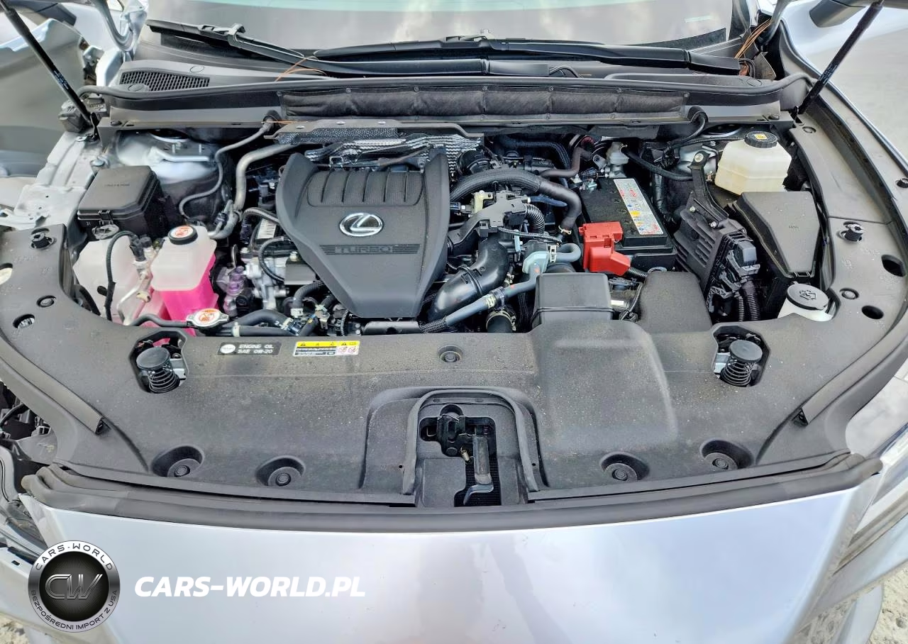 2024 Lexus Rx 350 Premium VIN:JTJCHMAAXR2020582 - 12