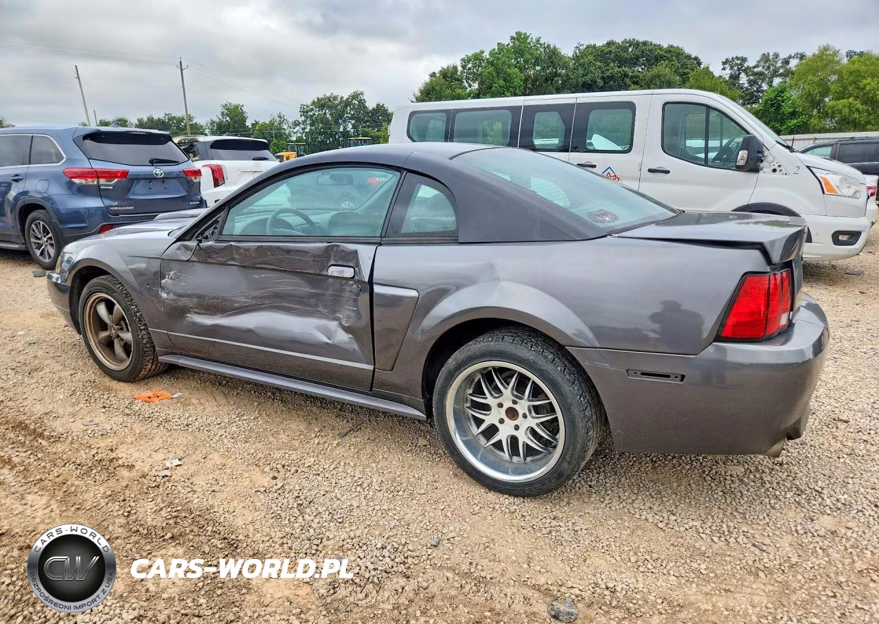 2003 Ford Mustang Gt VIN:1FAFP42X93F310162 - 2