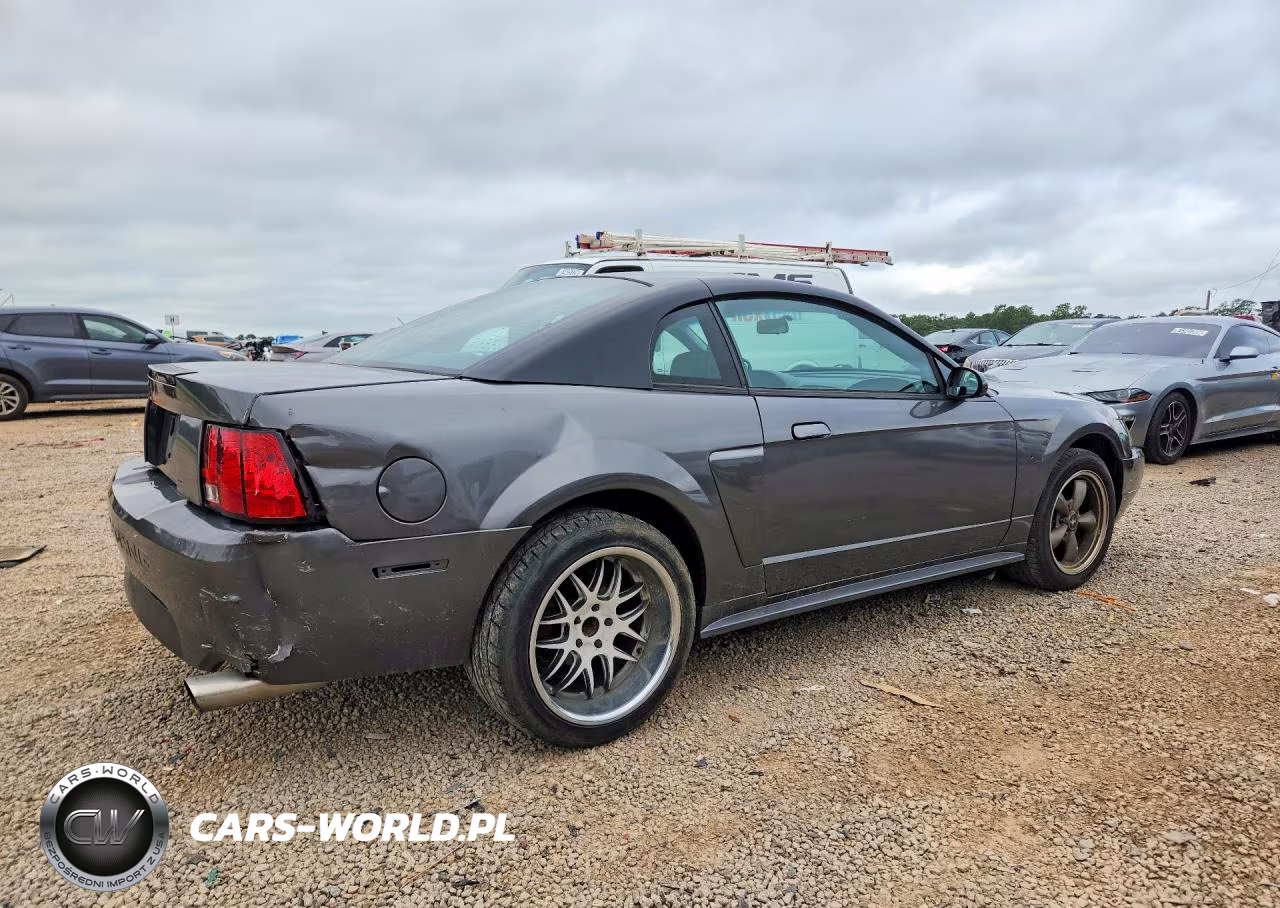2003 Ford Mustang Gt VIN:1FAFP42X93F310162 - 3