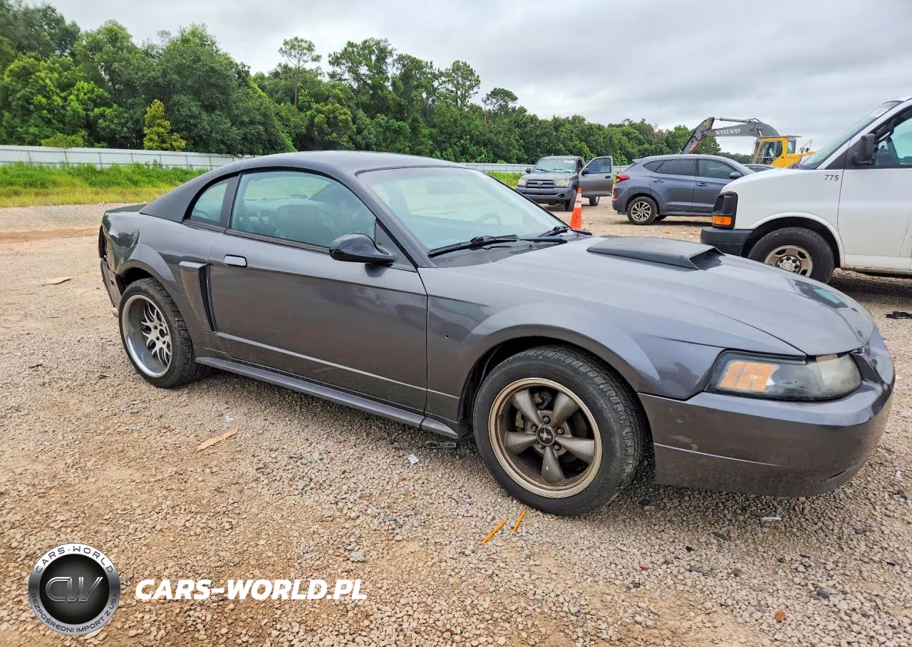 2003 Ford Mustang Gt VIN:1FAFP42X93F310162 - 4