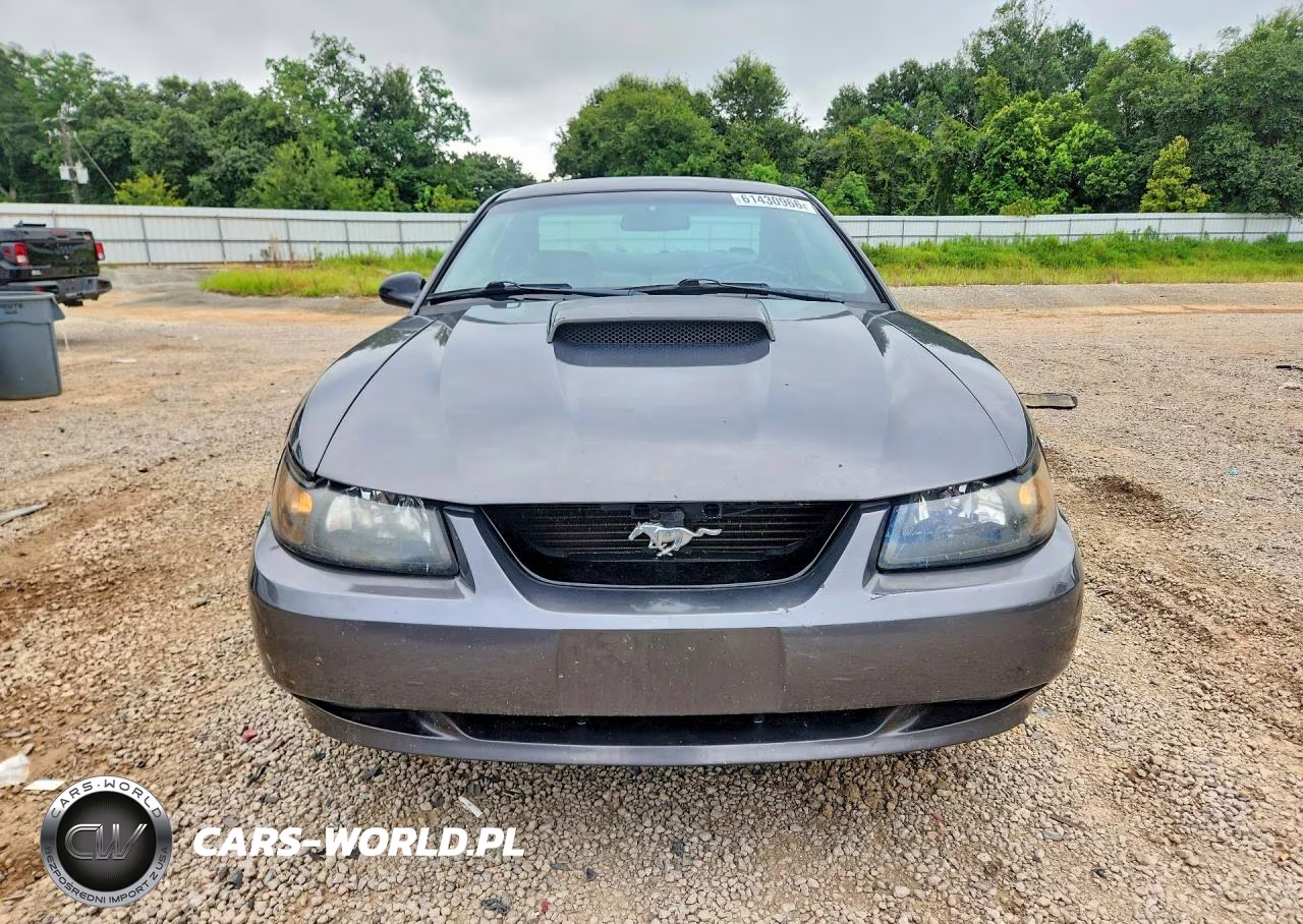 2003 Ford Mustang Gt VIN:1FAFP42X93F310162 - 5