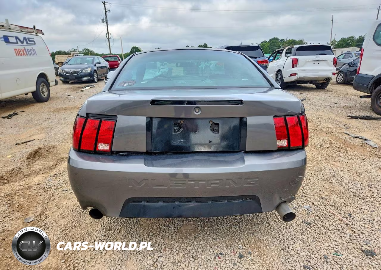 2003 Ford Mustang Gt VIN:1FAFP42X93F310162 - 6