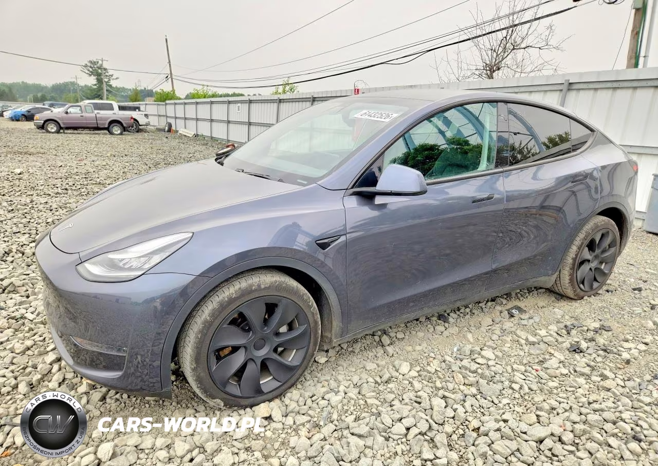 2020 Tesla Model Y
